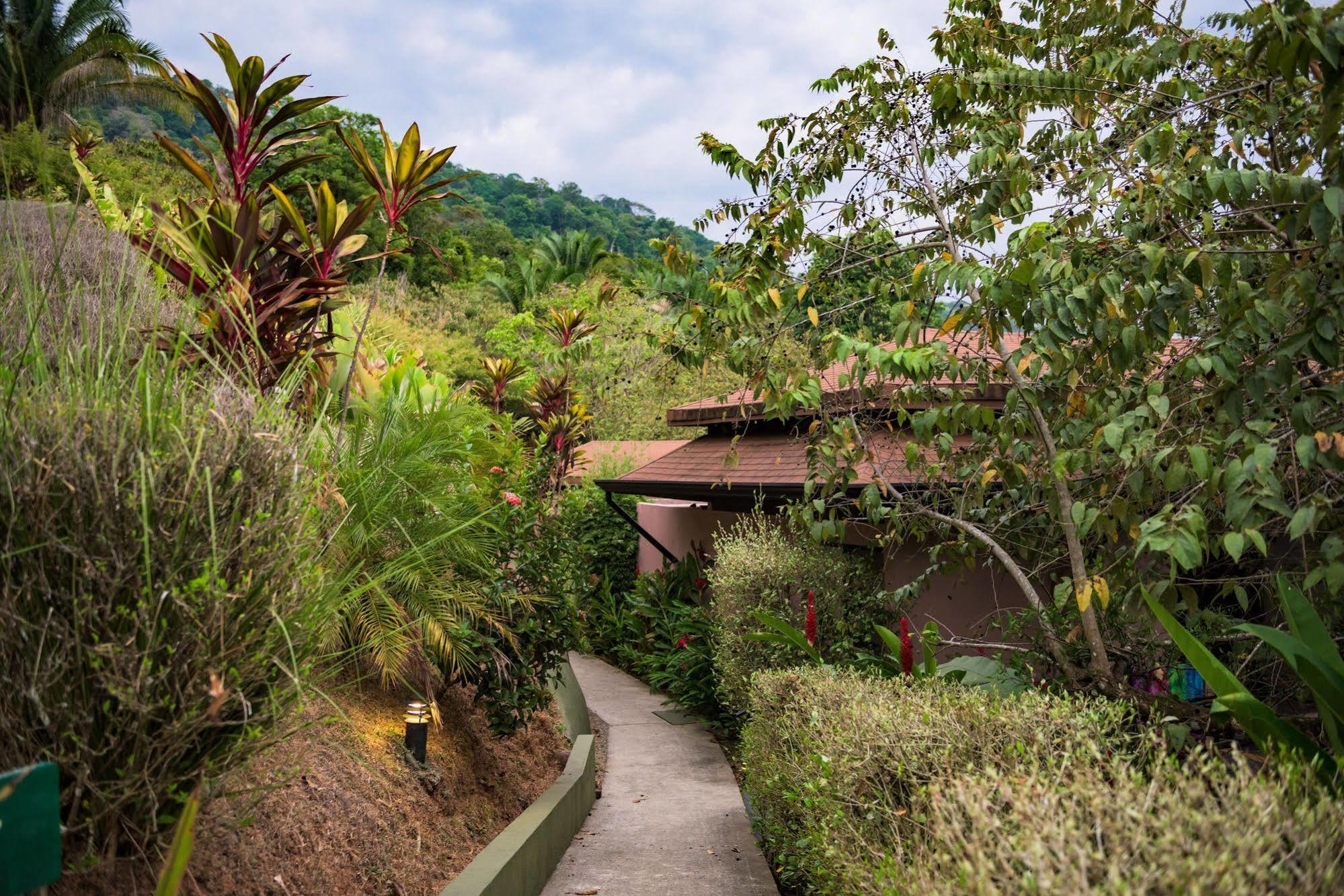 Tiki Villas Rainforest Lodge & Spa Uvita Bagian luar foto